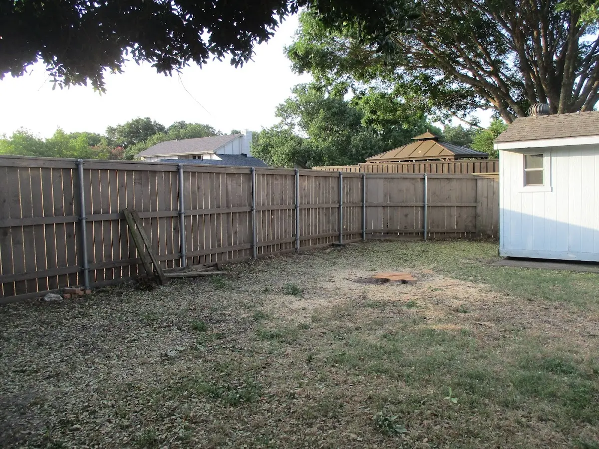 Cleared yard after professional tree removal in Tamiment